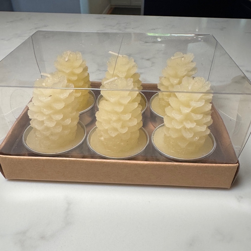Anthropologie New in Box Ivory Pine Cone Tealights S/6